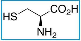 ACETYLCYSTEINE EP IMPURITY B